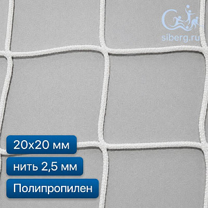 Защитная сетка на окна спортзала 20х20 2,5 мм полипропилен